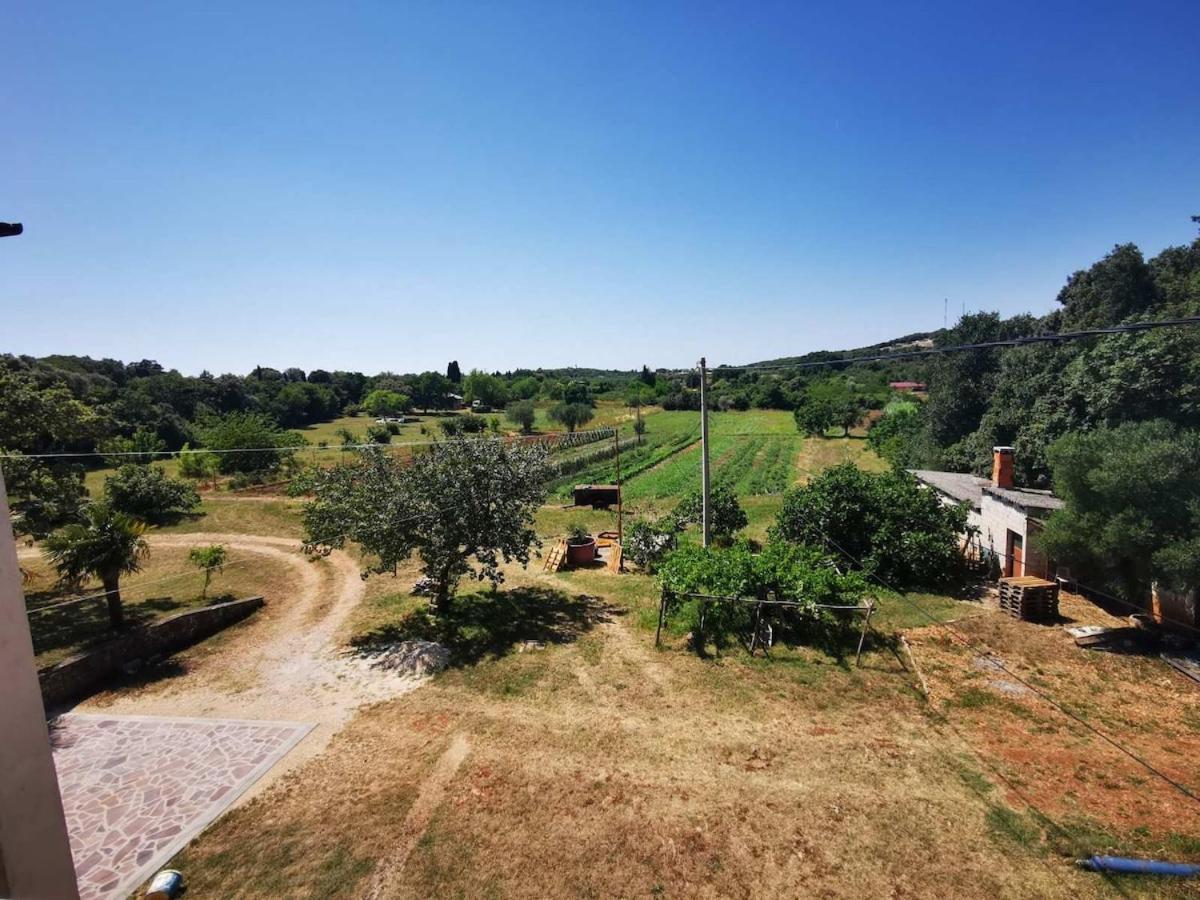 Irena 2, Free Parking, 10 Min From Sea *
