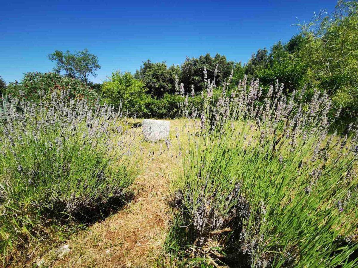 Irena 2, Free Parking, 10 Min From Sea Rovinj